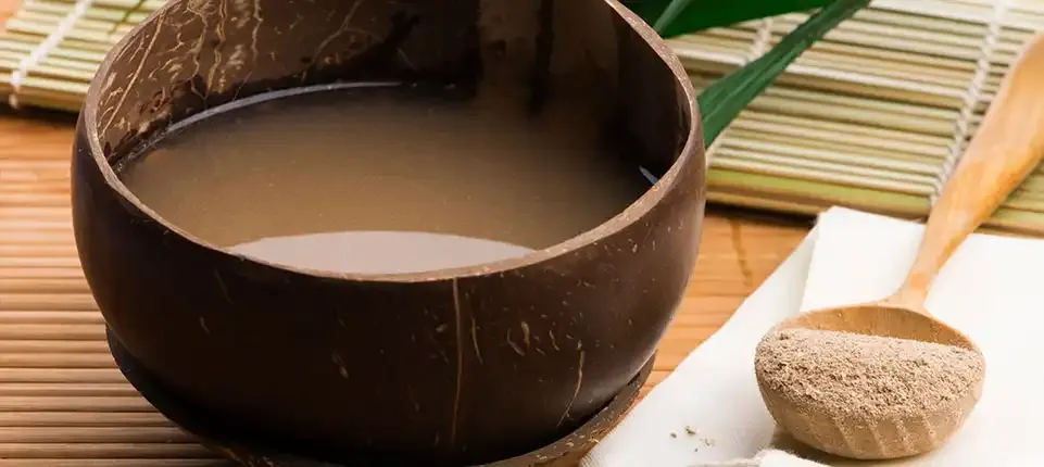 Kava preparation — noble kava root being processed for powder and oleoresin production