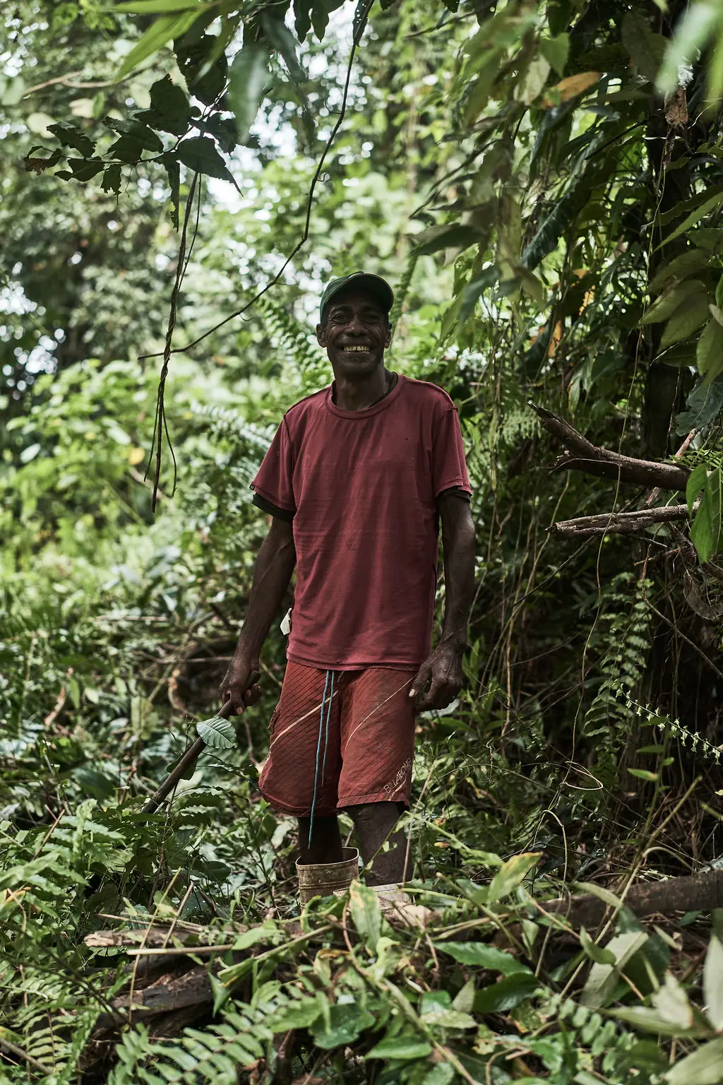 Kava farmer