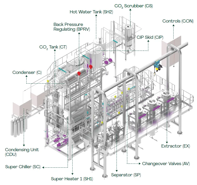 Primary Processing & CO₂ Extraction